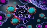 کشف پیام جدید سلول‌های سرطانی به سیستم ایمنی بدن